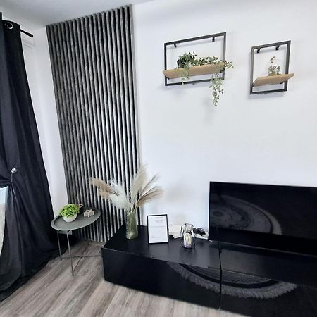 Christal Apartment Bacău エクステリア 写真